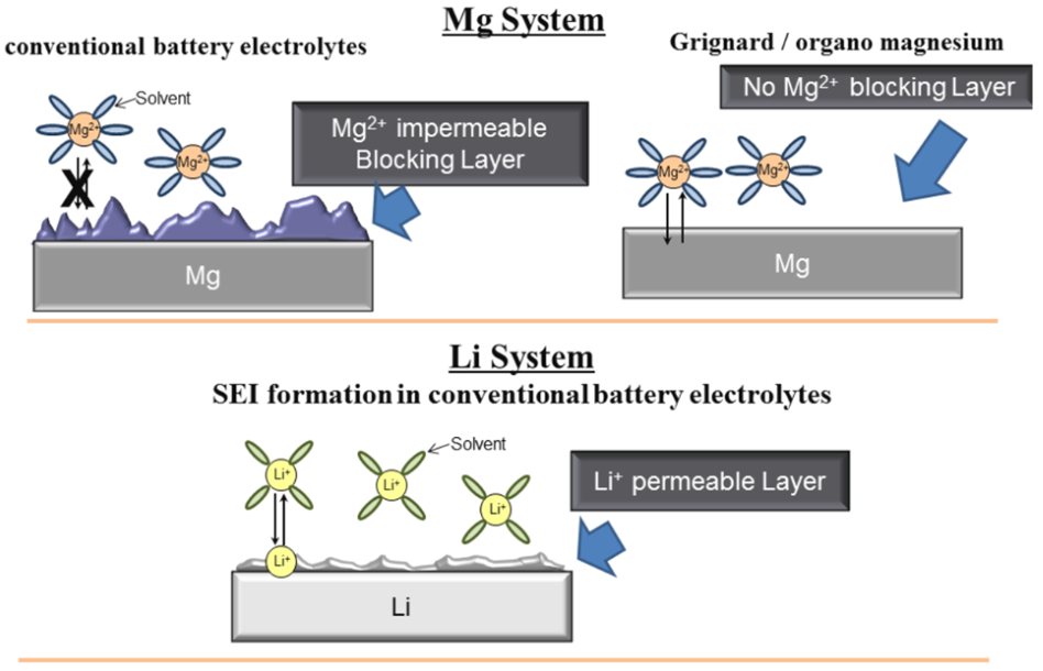 magnesium versus lithium